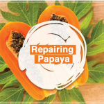 Dark & Lovely Natural Origin 98% Papaya Hair Treatment 390ml Dark and Lovely